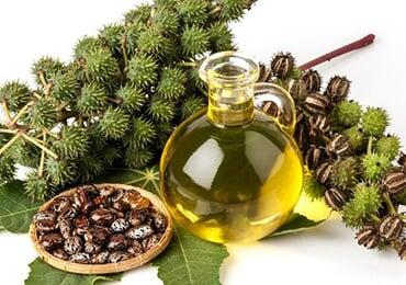 Arkema expands medical portfolio with bio-based PA11 from castor oil